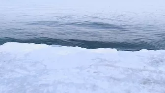 My first time to see a Frozen beach ???? #winterindenmark #frozenbeach #winterseason #shortvideo #dk