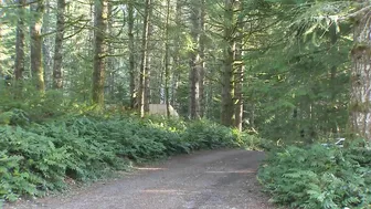 House in Sandy, Oregon one of Airbnb's most-liked homes on Instagram