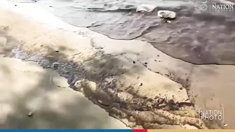 Oil spill reaches Rayong beach