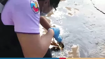 Oil spill reaches Rayong beach