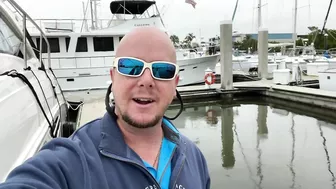 What WEIRD Sea Creature Is This? Watch It Move! [Fort Myers Beach, Florida]