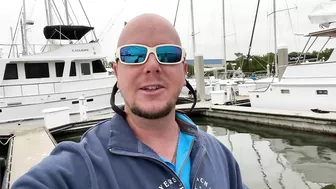 What WEIRD Sea Creature Is This? Watch It Move! [Fort Myers Beach, Florida]