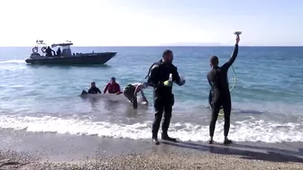 Elusive beaked whale stranded near beach in Athens