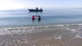 Elusive beaked whale stranded near beach in Athens