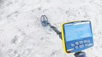 metal detecting beach 2022