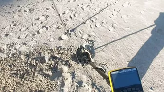 metal detecting beach 2022