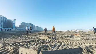 metal detecting beach 2022