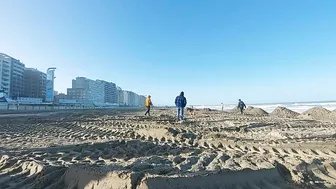 metal detecting beach 2022