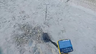 metal detecting beach 2022