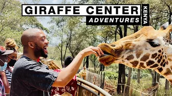 Things To Do In Nairobi Kenya | Giraffe Center Travel VLOG ????????