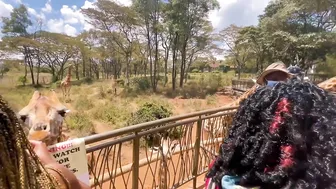 Things To Do In Nairobi Kenya | Giraffe Center Travel VLOG ????????