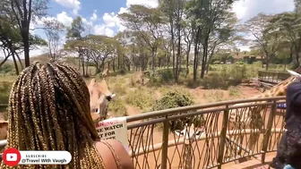 Things To Do In Nairobi Kenya | Giraffe Center Travel VLOG ????????