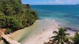 ESPECTACULAR -  Playa Rincon Beach Caño Frio Samaná  - 4K Drone  | DOMINICAN REPUBLIC 2022