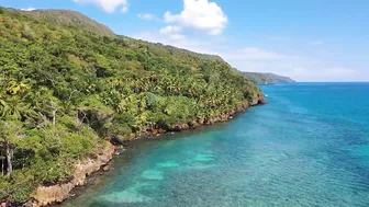 ESPECTACULAR -  Playa Rincon Beach Caño Frio Samaná  - 4K Drone  | DOMINICAN REPUBLIC 2022