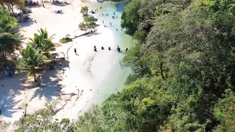 ESPECTACULAR -  Playa Rincon Beach Caño Frio Samaná  - 4K Drone  | DOMINICAN REPUBLIC 2022