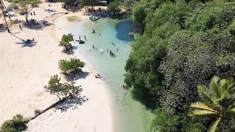 ESPECTACULAR -  Playa Rincon Beach Caño Frio Samaná  - 4K Drone  | DOMINICAN REPUBLIC 2022