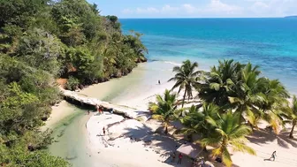 ESPECTACULAR -  Playa Rincon Beach Caño Frio Samaná  - 4K Drone  | DOMINICAN REPUBLIC 2022