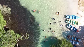 ESPECTACULAR -  Playa Rincon Beach Caño Frio Samaná  - 4K Drone  | DOMINICAN REPUBLIC 2022