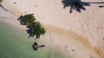 ESPECTACULAR -  Playa Rincon Beach Caño Frio Samaná  - 4K Drone  | DOMINICAN REPUBLIC 2022