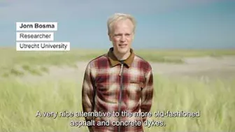 TU Delft - When is the beach in motion? | Monitoring the Prins Hendrikzanddijk