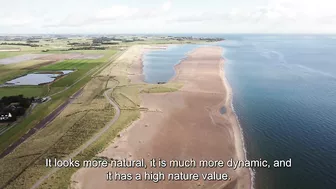 TU Delft - When is the beach in motion? | Monitoring the Prins Hendrikzanddijk