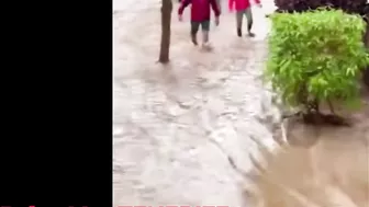 Disaster in Tenerife.  Floods and rain in Palm-Mar. Tenerife today. Travel blog from Spain 4K