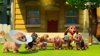 Pretzel and the Puppies — Official Trailer | Apple TV+