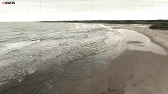 Artist uses RAKE to recreate 123-year-old masterpiece on deserted beach | SWNS