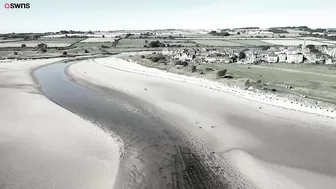 Artist uses RAKE to recreate 123-year-old masterpiece on deserted beach | SWNS