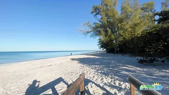 A Beautiful Wednesday Morning at the Beach in North Naples, FL 02.02.22