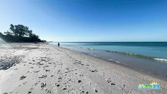 A Beautiful Wednesday Morning at the Beach in North Naples, FL 02.02.22