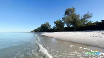 A Beautiful Wednesday Morning at the Beach in North Naples, FL 02.02.22