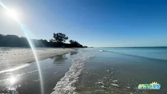 A Beautiful Wednesday Morning at the Beach in North Naples, FL 02.02.22