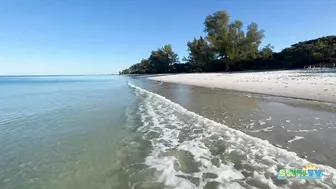 A Beautiful Wednesday Morning at the Beach in North Naples, FL 02.02.22