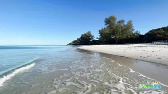 A Beautiful Wednesday Morning at the Beach in North Naples, FL 02.02.22