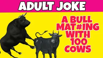 Jokes dirty funny: a bull and 100 cows! dirty funny laugh jokes! best adult jokes! just for laugh ????