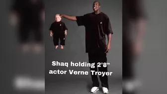 Shaq using normal sized things and being a giant