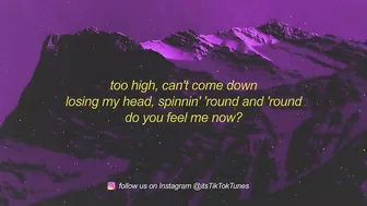 Britney Spears, Ginuwine - Toxic X Pony (TikTok Remix) Lyrics | with a taste of your lips