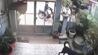 Dog chasing thief compilation. Hero Dog protect owner from intruder.