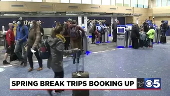 Spring Break travel surges above pre-pandemic levels