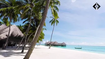 Maldives Travel Guide  / Most Beautiful Places on Planet Earth 2022