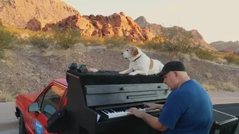 This Inspiring Piano Man Travels The Country With His Dog Bringing Joy To Those Affected By Trage…