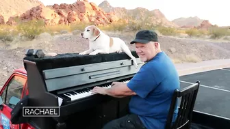 This Inspiring Piano Man Travels The Country With His Dog Bringing Joy To Those Affected By Trage…