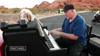 This Inspiring Piano Man Travels The Country With His Dog Bringing Joy To Those Affected By Trage…