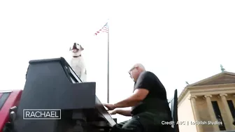 This Inspiring Piano Man Travels The Country With His Dog Bringing Joy To Those Affected By Trage…