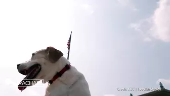 This Inspiring Piano Man Travels The Country With His Dog Bringing Joy To Those Affected By Trage…