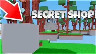 Bedwars Added This *SECRET SHOP* Into There Game l Brewing Stand? (Roblox Bedwars!)