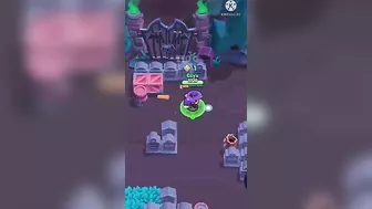 25 - Rank Shelley Brawl Stars  #short