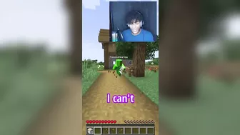 Throwback to Minecraft, But I Can't Touch the Color Green