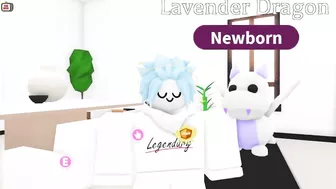 THE RAREST PET IN ADOPT ME!? - How to get the NEW Lavender Dragon (Roblox)